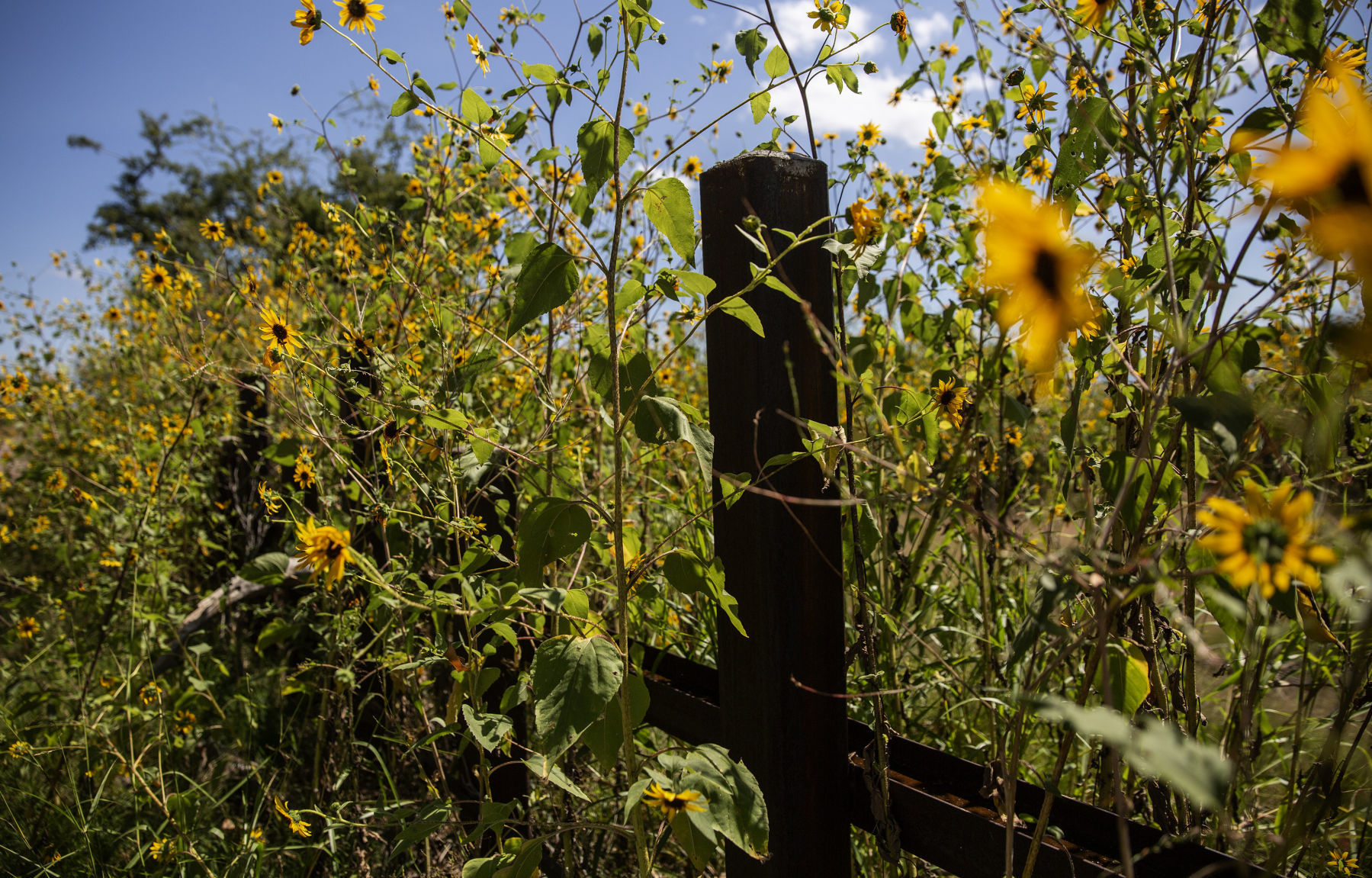U.S. – Mexico border near Douglas, Ariz.